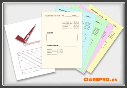 subcarpetas expedientes